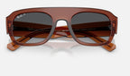 Ray-Ban RB2218 6678T3 - detalle