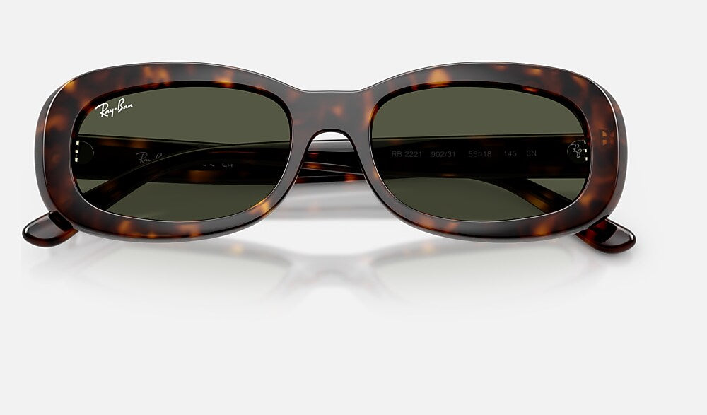 Ray-Ban RB2221 902/31 - detalle