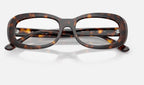 Ray-Ban 0RX2221V 2012 - detalle
