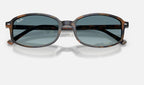 Ray-Ban RB2232 13563M - detalle