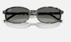 Ray-Ban RB2232 133371 - detalle