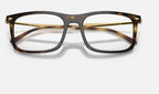 Ray-Ban 0RX7260 2012 - detalle