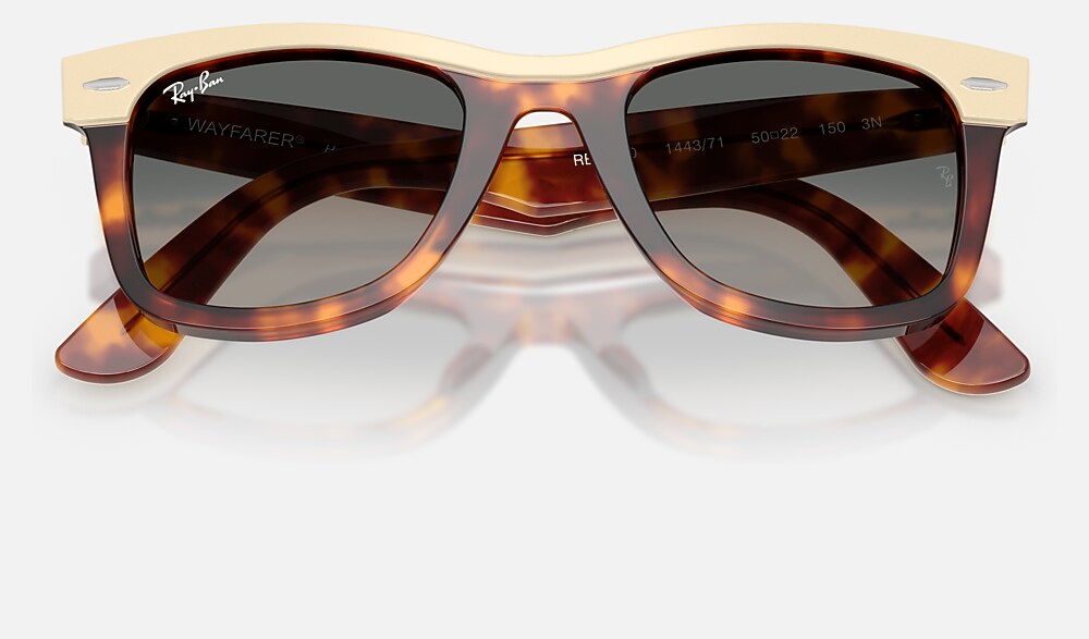 Ray-Ban RB2240 144371 - detalle