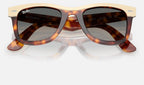 Ray-Ban RB2240 144371 - detalle