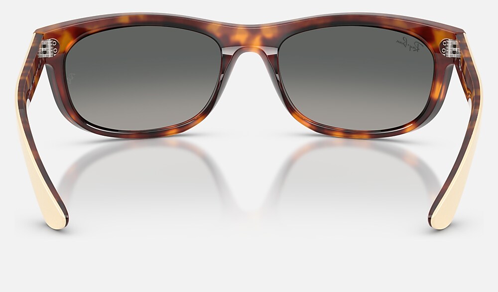Ray-Ban RB2489 144371 - vista posterior