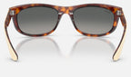 Ray-Ban RB2489 144371 - vista posterior