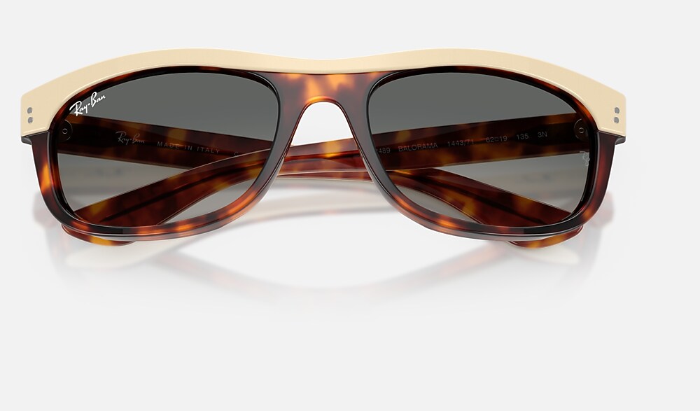 Ray-Ban RB2489 144371 - detalle