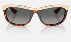 Ray-Ban RB2489 144371 - vista frontal