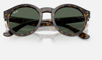 Ray-Ban RBR0505S 6790VR - detalle