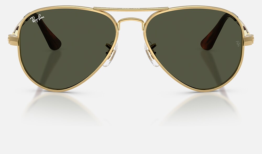 Ray-Ban RB3925 001/31 - vista frontal
