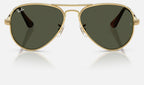 Ray-Ban RB3925 001/31 - vista frontal