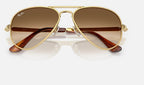 Ray-Ban RB3925 001/51 - detalle