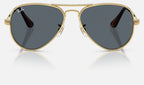 Ray-Ban RB3925 001/R5 - vista frontal