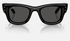 Ray-Ban RB4940 601/87 - vista frontal