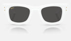 Ray-Ban RB4940 671/87 - vista frontal