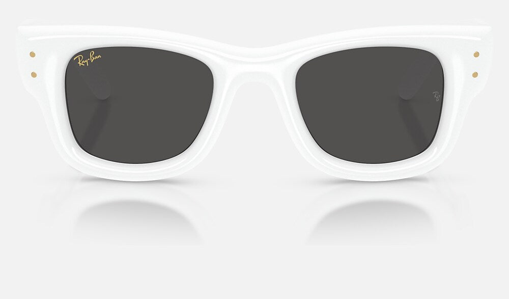 Ray-Ban RB4940 671/87 - vista frontal