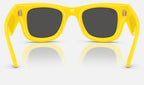 Ray-Ban RB4940 683087 - vista posterior