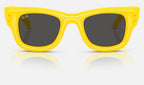 Ray-Ban RB4940 683087 - vista frontal