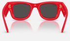 Ray-Ban RB4940 683187 - vista posterior