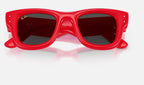 Ray-Ban RB4940 683187 - detalle
