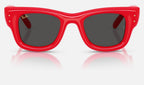 Ray-Ban RB4940 683187 - vista frontal