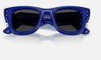 Ray-Ban RB4940 683387 - detalle
