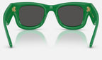 Ray-Ban RB4940 683487 - vista posterior