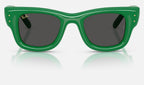 Ray-Ban RB4940 683487 - vista frontal
