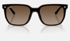 Ray-Ban RB4466D 714/13 - vista frontal