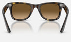 Ray-Ban RB4340 710/M2 - vista posterior