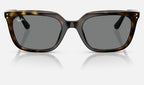 Ray-Ban RB4439D 710/87 - vista frontal