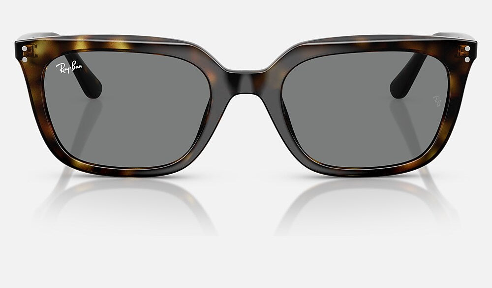 Ray-Ban RB4439D 710/87 - vista frontal
