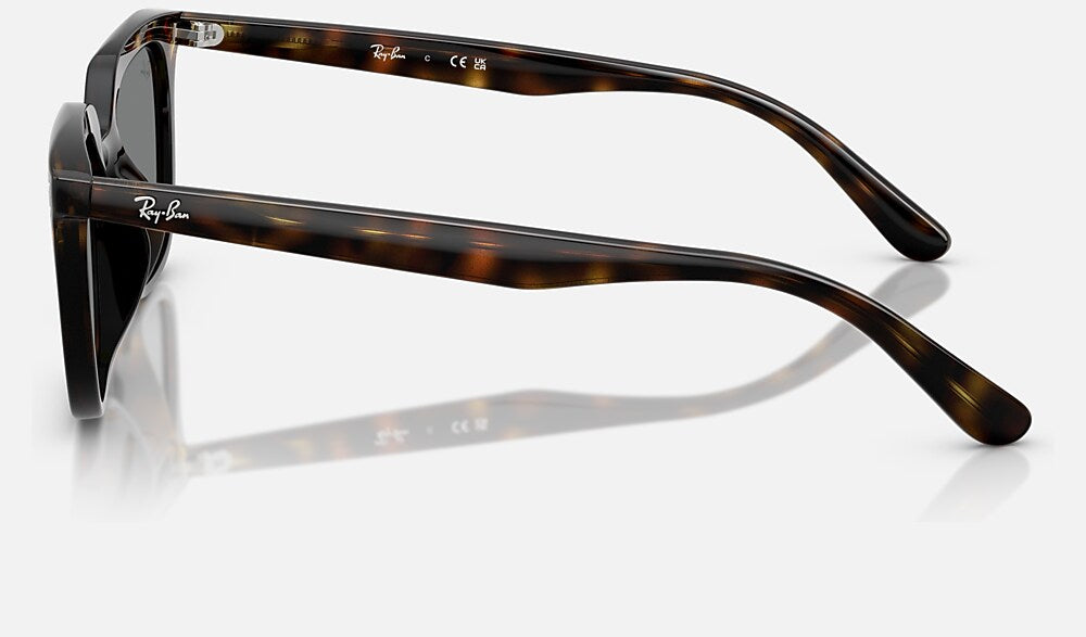 Ray-Ban RB4439D 710/87 - vista lateral