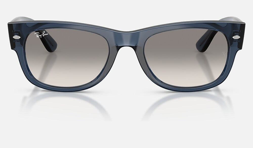 Ray-Ban RB0832S 684532 - vista frontal