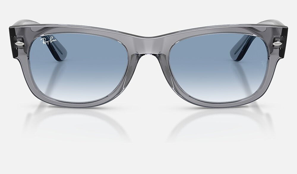 Ray-Ban RB0832S 68463F - vista frontal