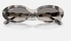 Ray-Ban RB2223 144832 - detalle