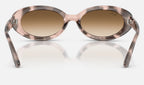 Ray-Ban RB2223 144951 - vista posterior