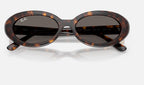 Ray-Ban RB2223 902/B1 - detalle