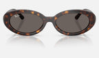 Ray-Ban RB2223 902/B1 - vista frontal