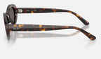 Ray-Ban RB2223 902/B1 - vista lateral