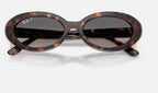 Ray-Ban RB2223 902/M3 - detalle
