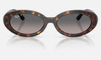 Ray-Ban RB2223 902/M3 - vista frontal