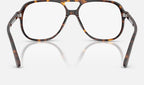 Ray-Ban 0RX5698 2012 - vista posterior