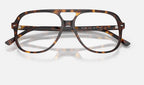 Ray-Ban 0RX5698 2012 - detalle
