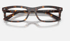Ray-Ban 0RX5450 2012 - detalle