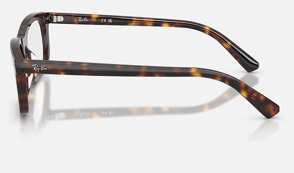 Ray-Ban 0RX5450 2012 - vista lateral