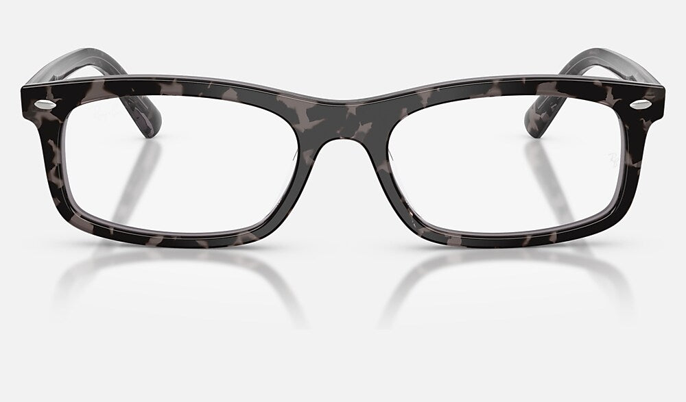 Ray-Ban 0RX5450 8483 - vista frontal
