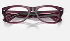 Ray-Ban 0RX0832V 8364 - detalle