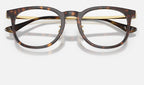 Ray-Ban 0RX5453D 2012 - detalle