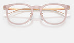 Ray-Ban 0RX5453D 8438 - detalle